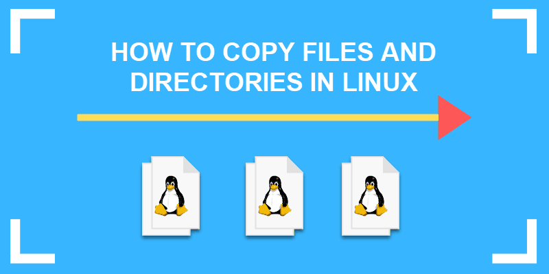 bash copy directory and all files